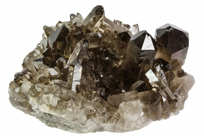 Dark Smoky Quartz Crystal Cluster - Brazil #106964